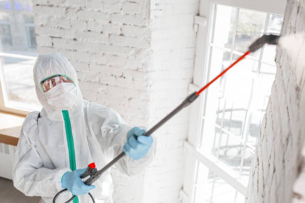 Best Water Damage & Mold Remediation  in Eastern Goleta Valley, CA