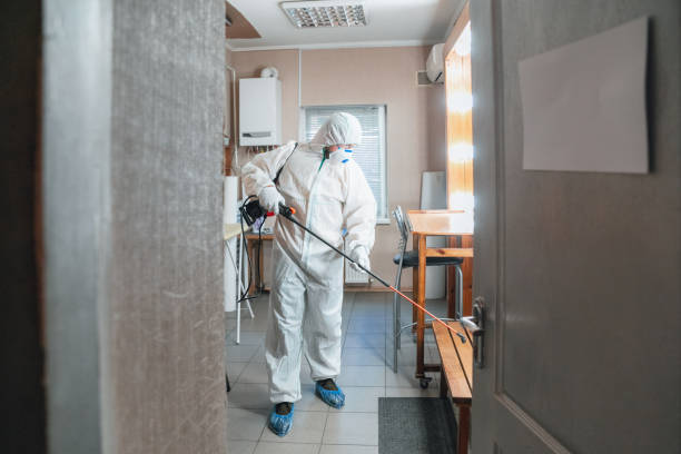 Best Black Mold Removal  in Eastern Goleta Valley, CA
