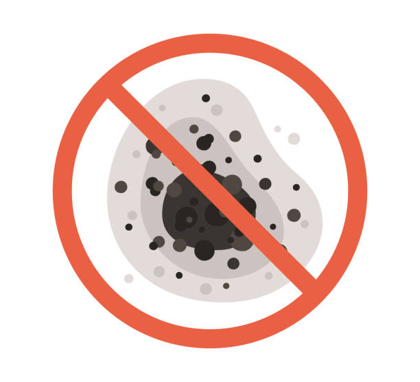 Best Basement Mold Removal  in Eastern Goleta Valley, CA